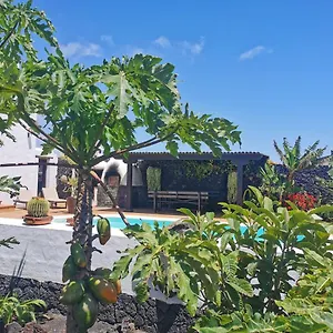  Appartement Dragos